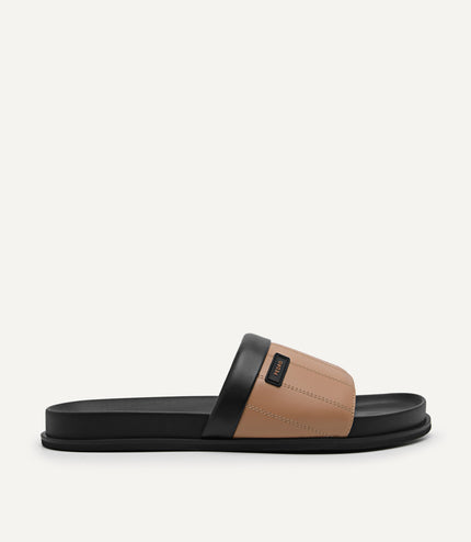 Slides