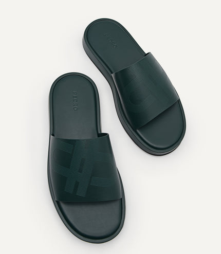 Slides
