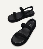 36 / Black2