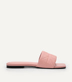 Blush / 36