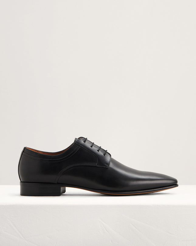 Leather Derby Shoes