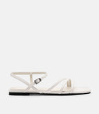 White / 36