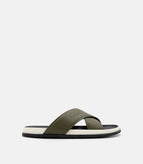 Olive / 39