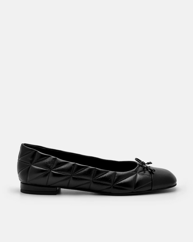 Kayla Leather Ballerina Flats in Pixel - Black
