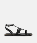 Black / 36