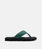 Dark Green / 39