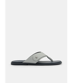 Light Grey / 39